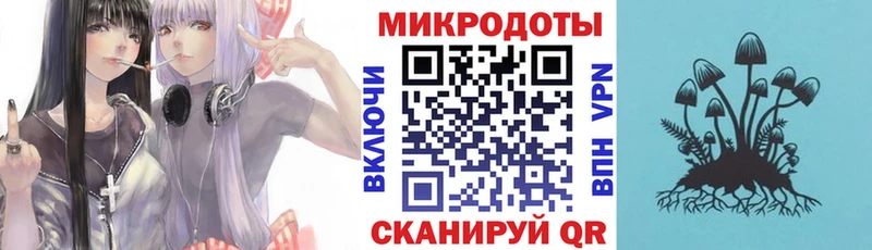 магазин наркотиков KRAKEN ТОР Псилоцибиновые грибы Psilocybe Дорогобуж